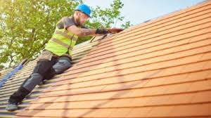 Best Rubber Roofing (EPDM, TPO)  in Plumsteadville, PA