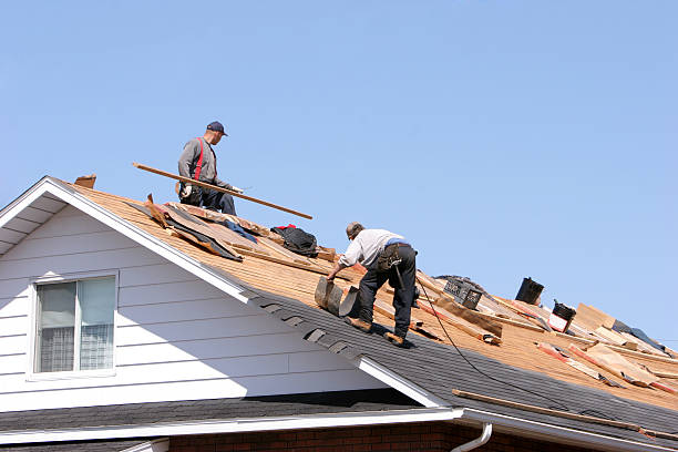 Best Skylight Installation and Repair  in Plumsteadville, PA